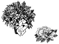CGA50010.TIF
