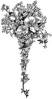 CGA50007.TIF
