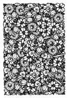 CGA50005.TIF