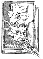 CGA50003.TIF