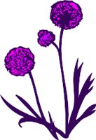 CGA00532.WMF