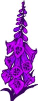 CGA00529.WMF