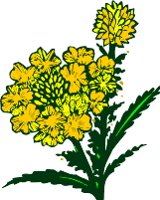 CGA00528.WMF