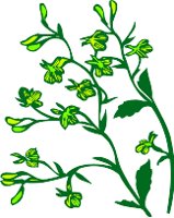 CGA00526.WMF