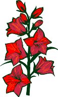 CGA00519.WMF