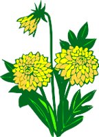 CGA00517.WMF