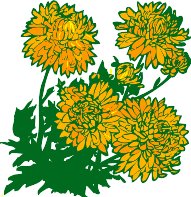 CGA00507.WMF