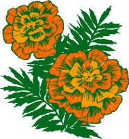 CGA00504.WMF