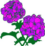 CGA00501.WMF