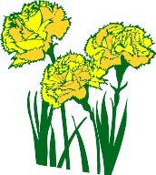 CGA00500.WMF