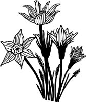 CGA00485.WMF