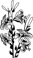 CGA00484.WMF