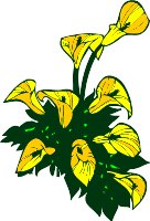 CGA00471.WMF