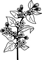CGA00446.WMF