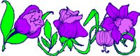 CGA00428.WMF
