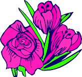 CGA00427.WMF