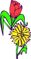 CGA00423.WMF