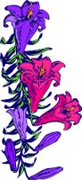 CGA00414.WMF