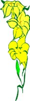 CGA00391.WMF