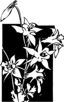 CGA00361.WMF