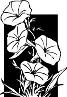 CGA00359.WMF