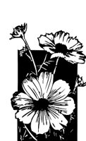 CGA00358.WMF