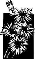 CGA00357.WMF