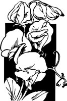 CGA00356.WMF