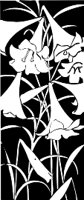 CGA00352.WMF