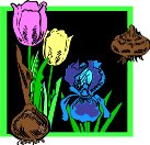 CGA00344.WMF