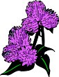 CGA00341.WMF