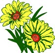 CGA00337.WMF