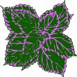 CGA00328.WMF