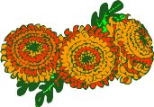 CGA00317.WMF