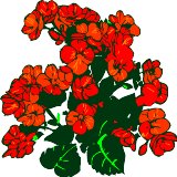 CGA00306.WMF