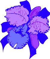 CGA00303.WMF