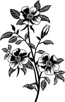 CGA00263.WMF