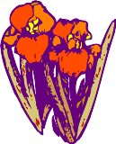 CGA00243.WMF