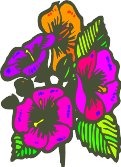 CGA00242.WMF