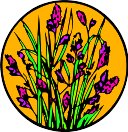 CGA00237.WMF
