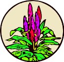 CGA00235.WMF