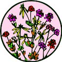 CGA00233.WMF