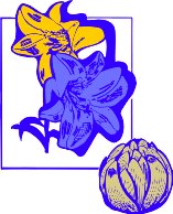 CGA00157.WMF