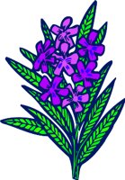 CGA00144.WMF