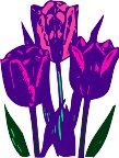CGA00134.WMF