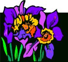 CGA00091.WMF