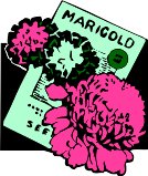 CGA00085.WMF