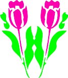 CGA00065.WMF