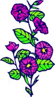 CGA00055.WMF