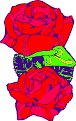 CGA00045.WMF